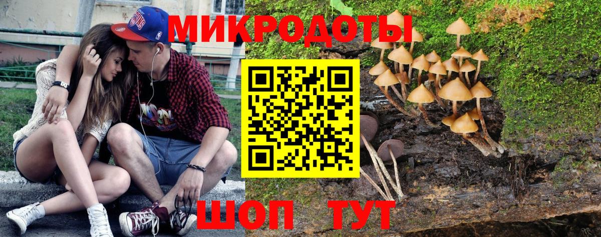 Нижний Тагил  Галлюциногенные грибы прущие грибы  Вход с VPN 