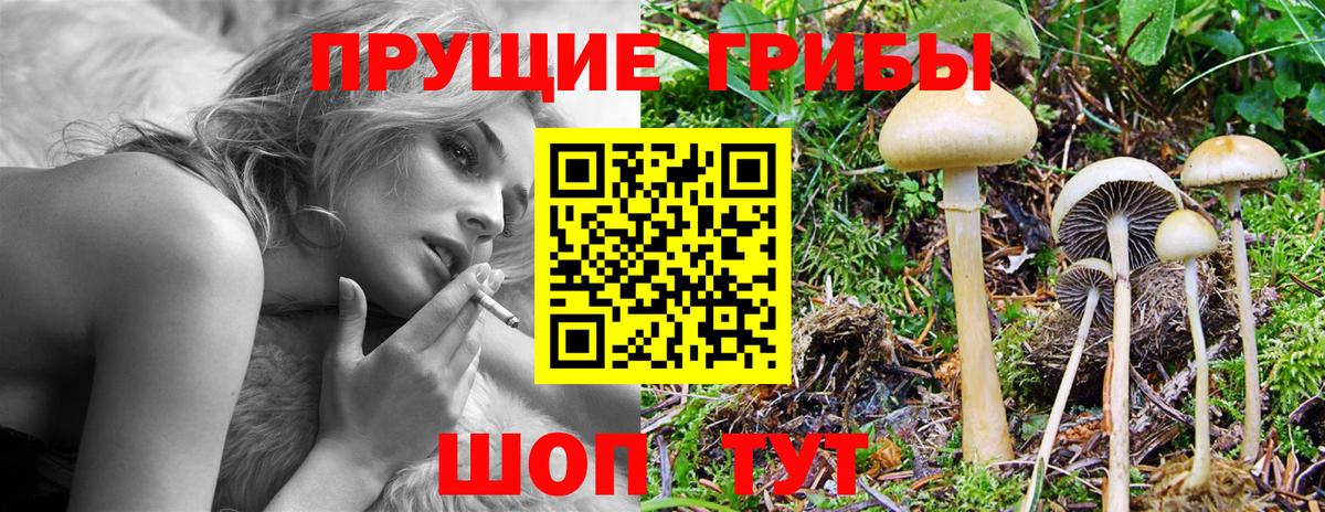 Псилоцибиновые грибы GOLDEN TEACHER Нижний Тагил