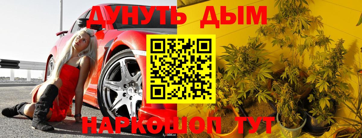 МАРИХУАНА планчик Нижний Тагил